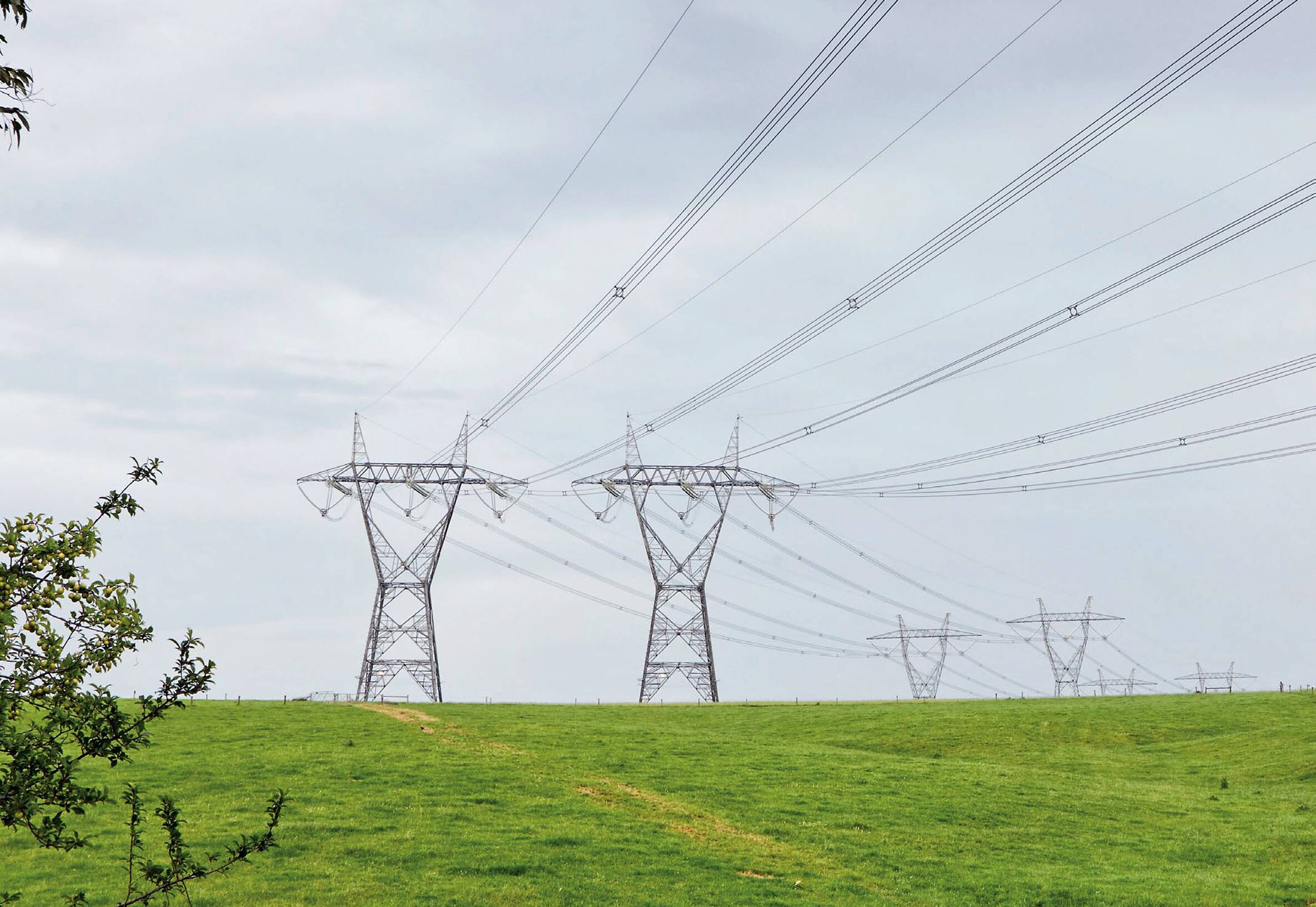 High voltage transmission towers crossing green farmland
